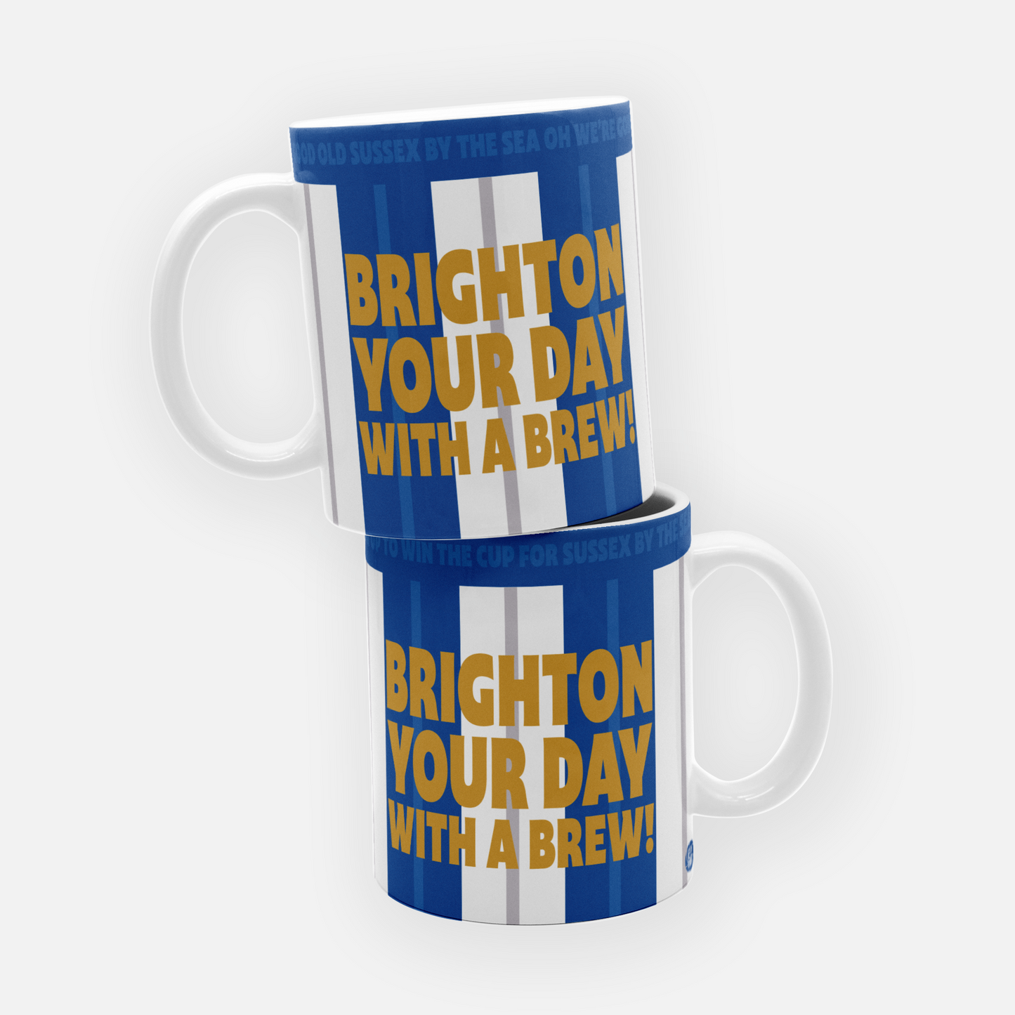 Brighton & Hove Albion Mug