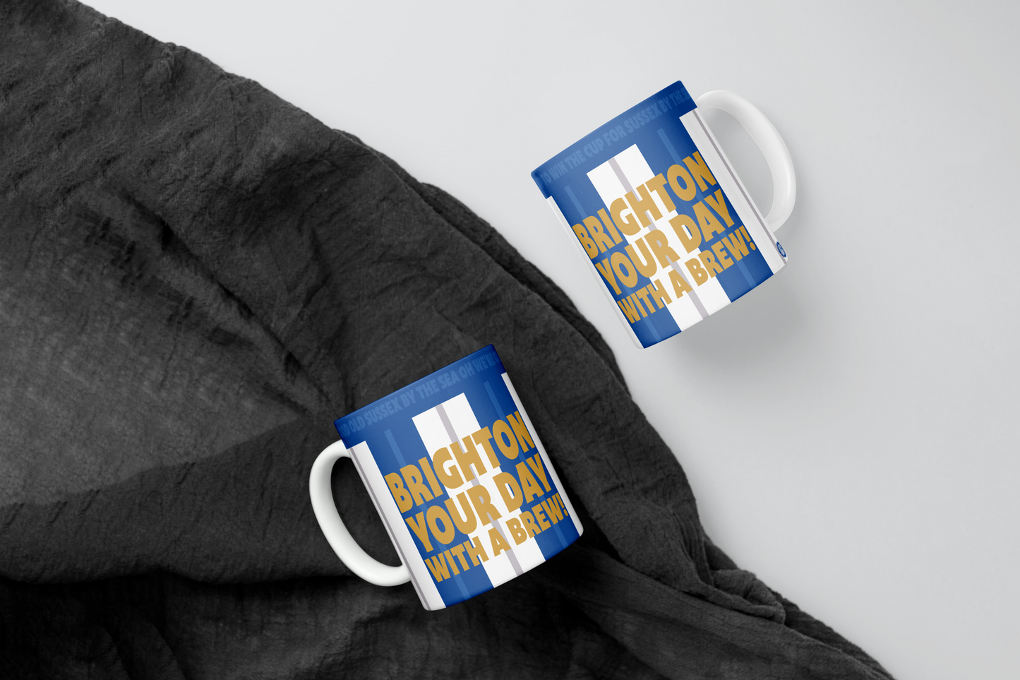 Brighton & Hove Albion Mug